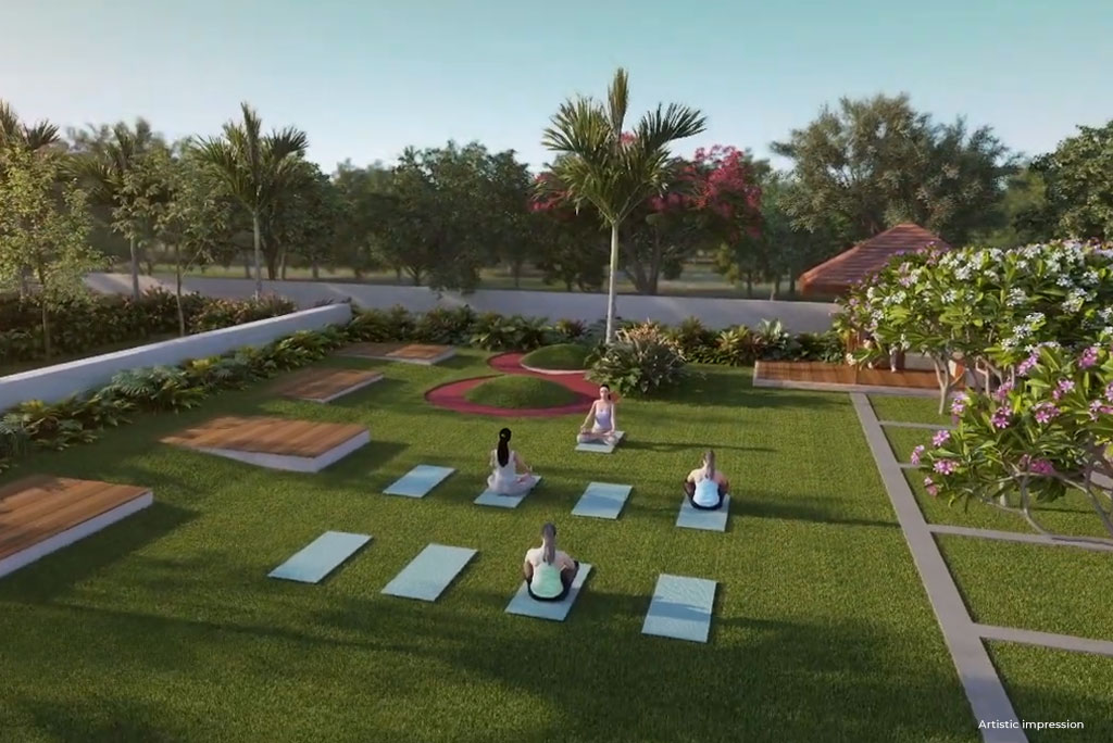 Spring is in the Air  Amenity